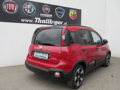 Fiat Pandina Neuwagen