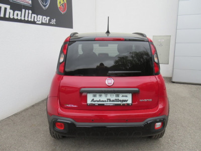 Fiat Pandina Neuwagen