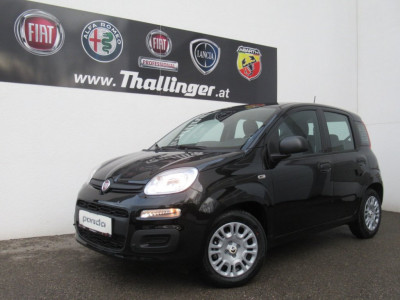 Fiat Pandina Neuwagen