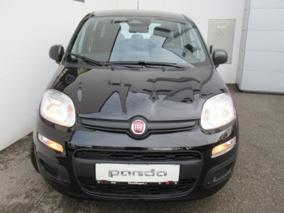 Fiat Pandina Neuwagen