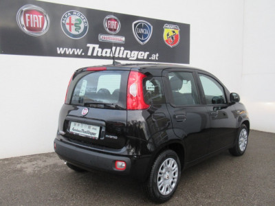 Fiat Pandina Neuwagen