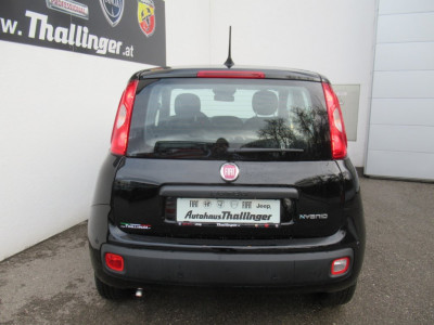 Fiat Pandina Neuwagen