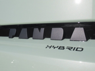 Fiat Grande Panda Tageszulassung