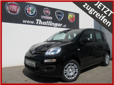 Fiat Pandina Gebrauchtwagen