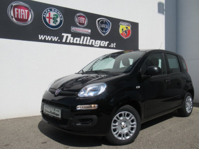 Fiat Pandina Gebrauchtwagen Fiat Pandina Gebrauchtwagen