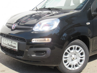 Fiat Pandina Gebrauchtwagen Fiat Pandina Gebrauchtwagen