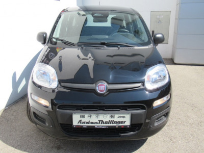 Fiat Pandina Gebrauchtwagen Fiat Pandina Gebrauchtwagen