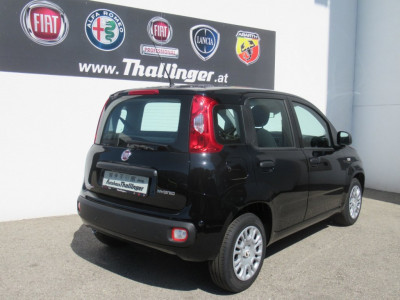 Fiat Pandina Gebrauchtwagen Fiat Pandina Gebrauchtwagen