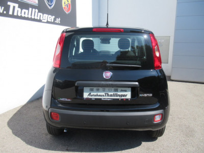 Fiat Pandina Gebrauchtwagen Fiat Pandina Gebrauchtwagen