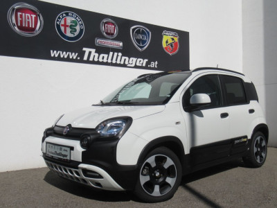 Fiat Pandina Vorführwagen