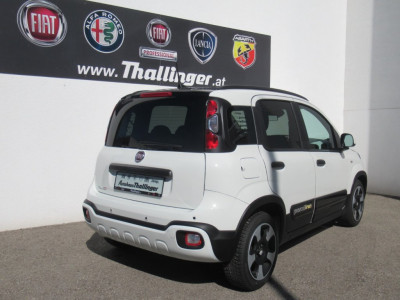 Fiat Pandina Vorführwagen