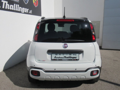Fiat Pandina Vorführwagen