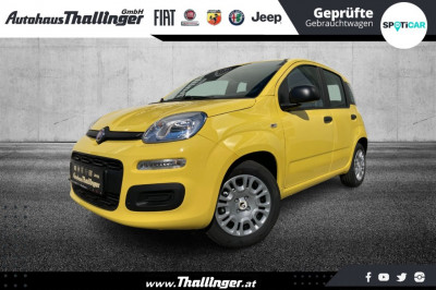Fiat Pandina Neuwagen Fiat Pandina Neuwagen