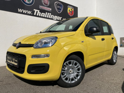 Fiat Pandina Neuwagen Fiat Pandina Neuwagen