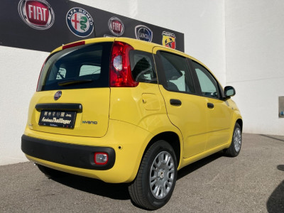 Fiat Pandina Neuwagen Fiat Pandina Neuwagen
