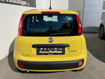 Fiat Pandina Neuwagen Fiat Pandina Neuwagen