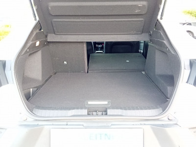 Renault Arkana Gebrauchtwagen