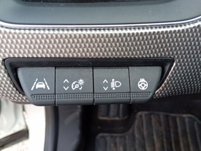 Renault Arkana Gebrauchtwagen