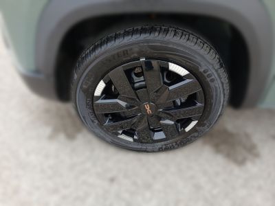 Dacia Spring Vorführwagen