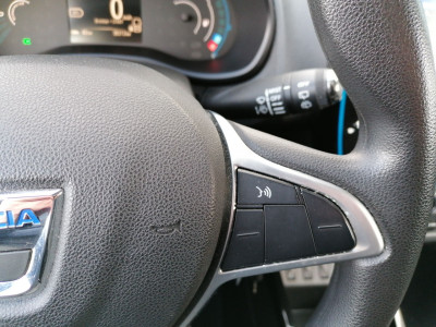 Dacia Spring Gebrauchtwagen