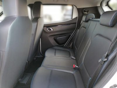 Dacia Spring Gebrauchtwagen