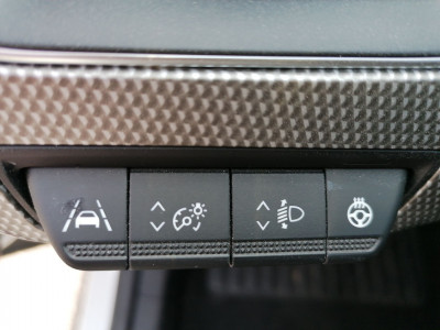 Renault Arkana Gebrauchtwagen