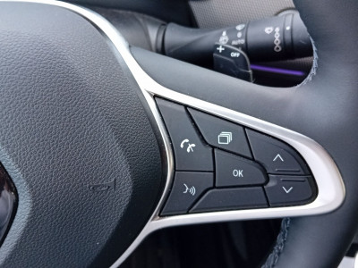 Renault Arkana Gebrauchtwagen