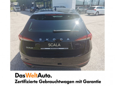 Skoda Scala Gebrauchtwagen