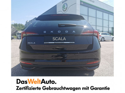 Skoda Scala Gebrauchtwagen