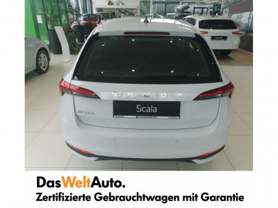 Skoda Scala Gebrauchtwagen