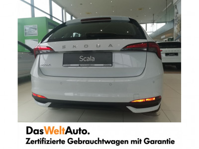 Skoda Scala Gebrauchtwagen