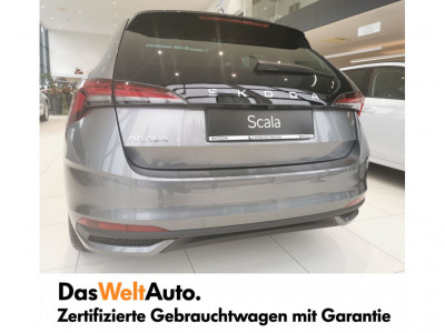 Skoda Scala Gebrauchtwagen