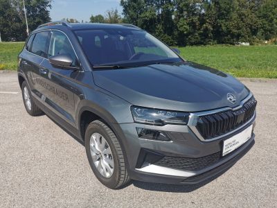 Skoda Karoq Gebrauchtwagen