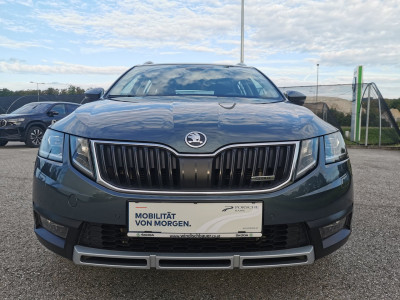 Skoda Octavia Gebrauchtwagen