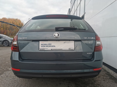 Skoda Octavia Gebrauchtwagen