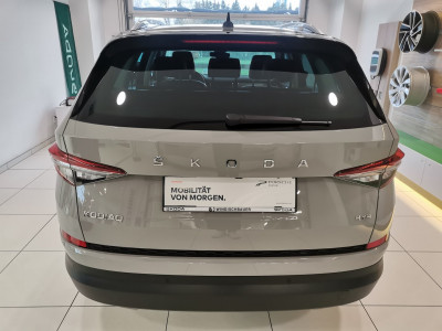 Skoda Kodiaq Gebrauchtwagen