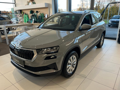 Skoda Karoq Gebrauchtwagen