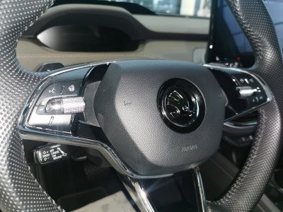 Skoda Enyaq Gebrauchtwagen Skoda Enyaq Gebrauchtwagen