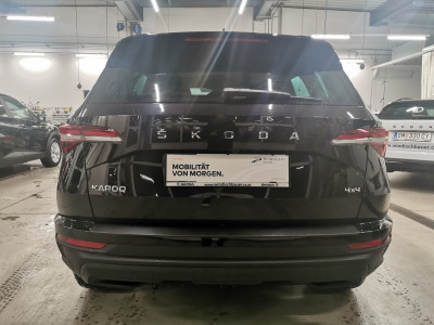 Skoda Karoq Gebrauchtwagen