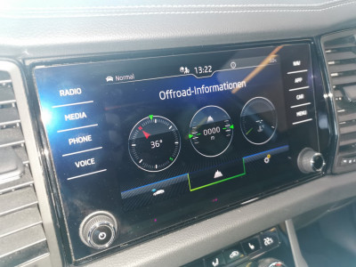 Skoda Kodiaq Gebrauchtwagen