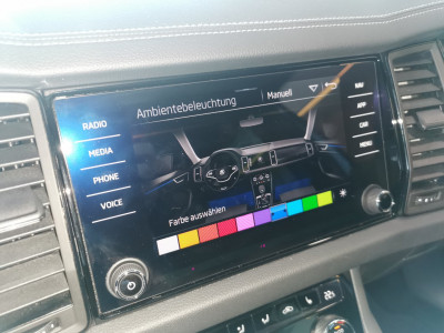 Skoda Kodiaq Gebrauchtwagen