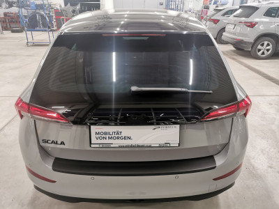 Skoda Scala Gebrauchtwagen