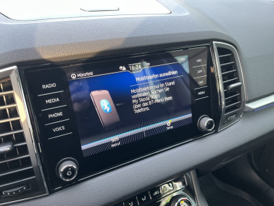 Skoda Karoq Gebrauchtwagen