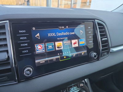 Skoda Karoq Gebrauchtwagen