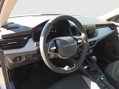 Skoda Kamiq Gebrauchtwagen