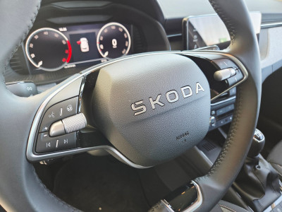 Skoda Kamiq Gebrauchtwagen