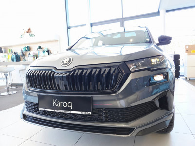 Skoda Karoq Gebrauchtwagen
