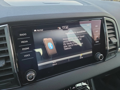 Skoda Karoq Gebrauchtwagen