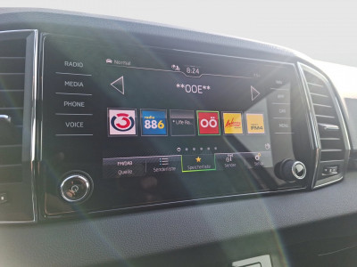 Skoda Karoq Gebrauchtwagen