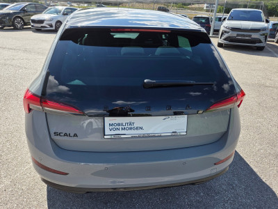 Skoda Scala Gebrauchtwagen